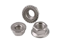 Hex Flange Nut Hex Flange Nut